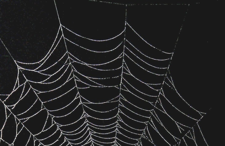 deep web drug markets