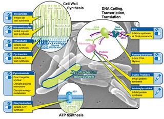 drugs on the dark web