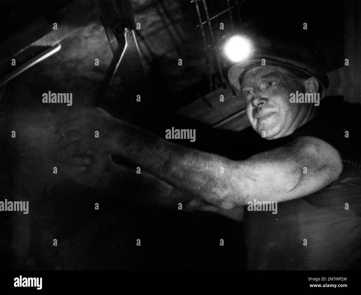 underground dumps shop