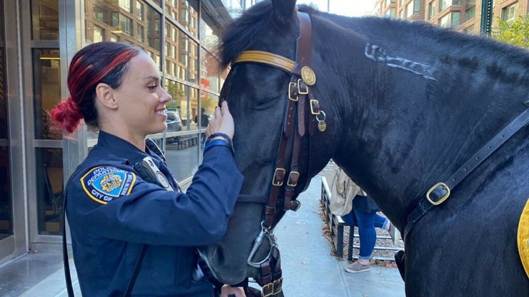 how many police agencies are going after darknet markets