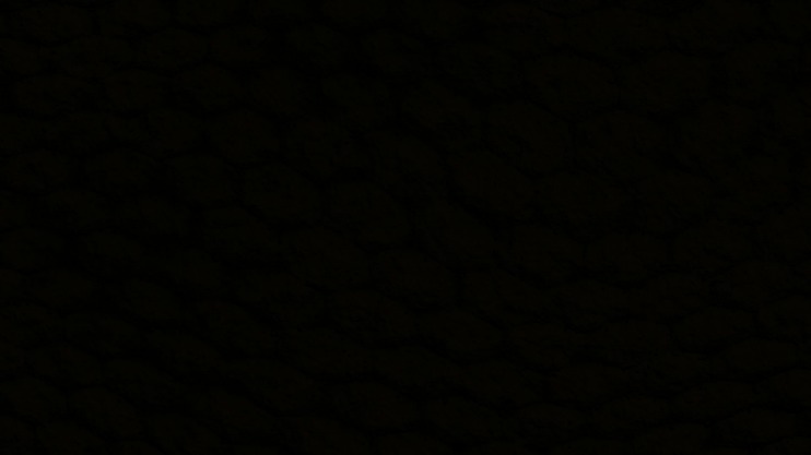 black market website