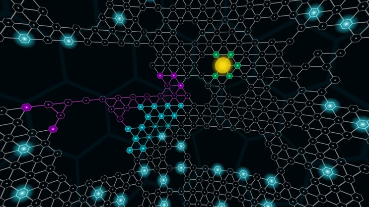 florida darknet markets