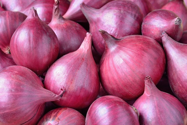 onion linkek