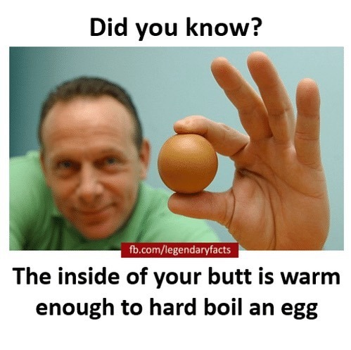 search engine dark web