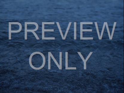 how to surf the dark web