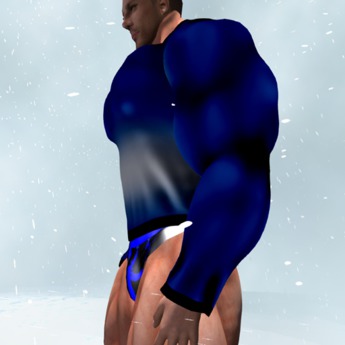 how to surf the dark web