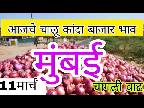 live onion market
